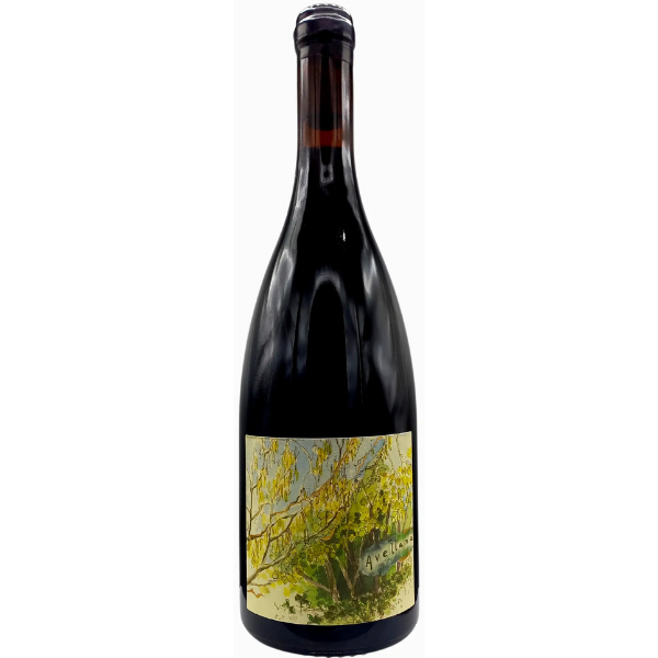  Columbia Gorge Avallena Spring Ephemeral Rouge