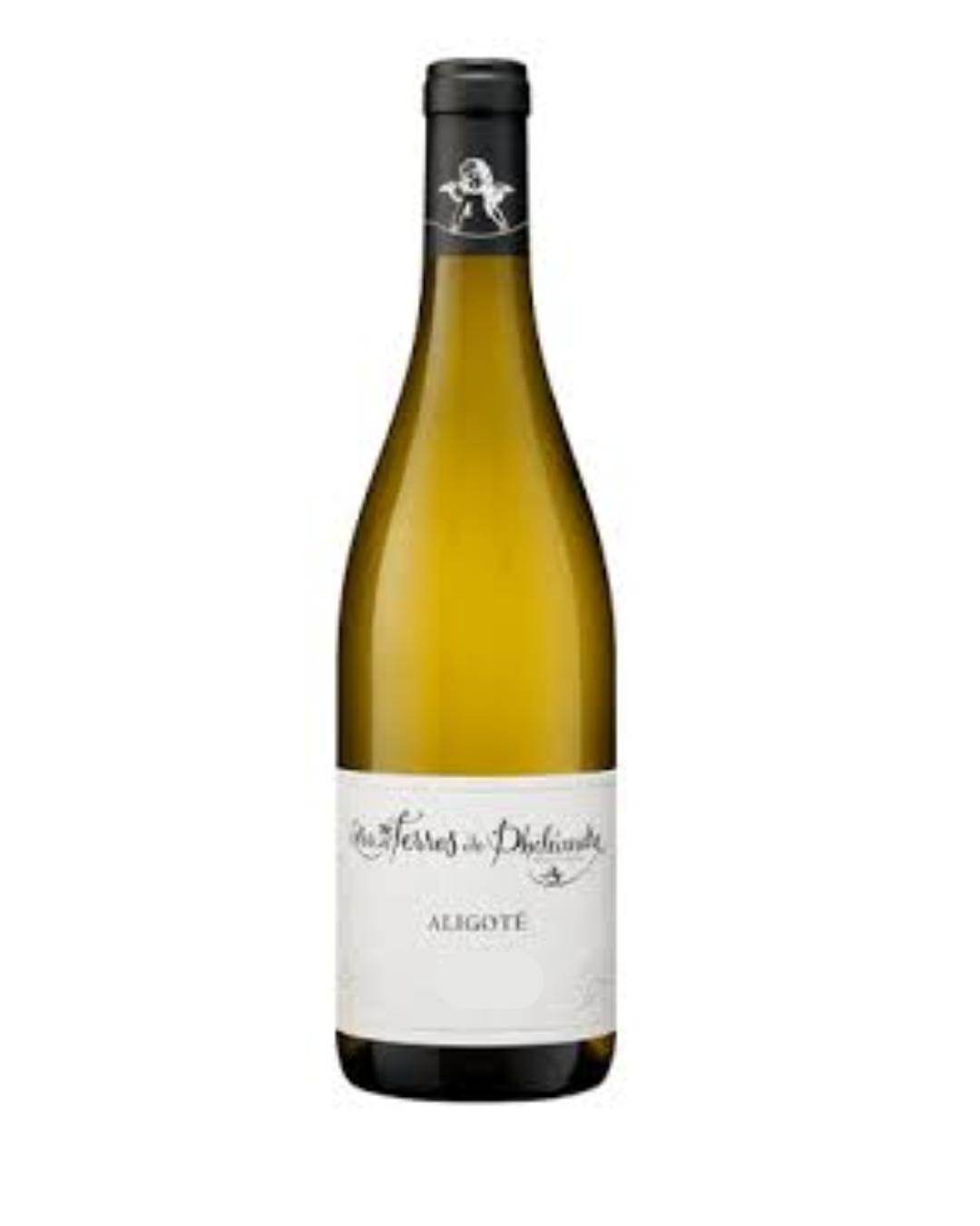 David Duband Bourgogne Aligoté Les Terres de Philéandre Blanc