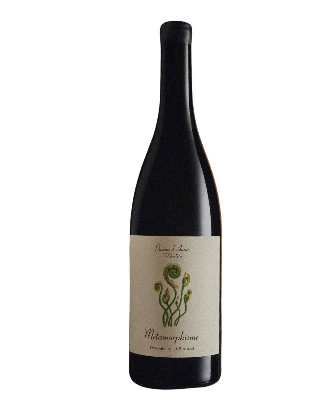 Domaine de la Bergerie Igp Val de Loire Pineau d'Aunis Rouge