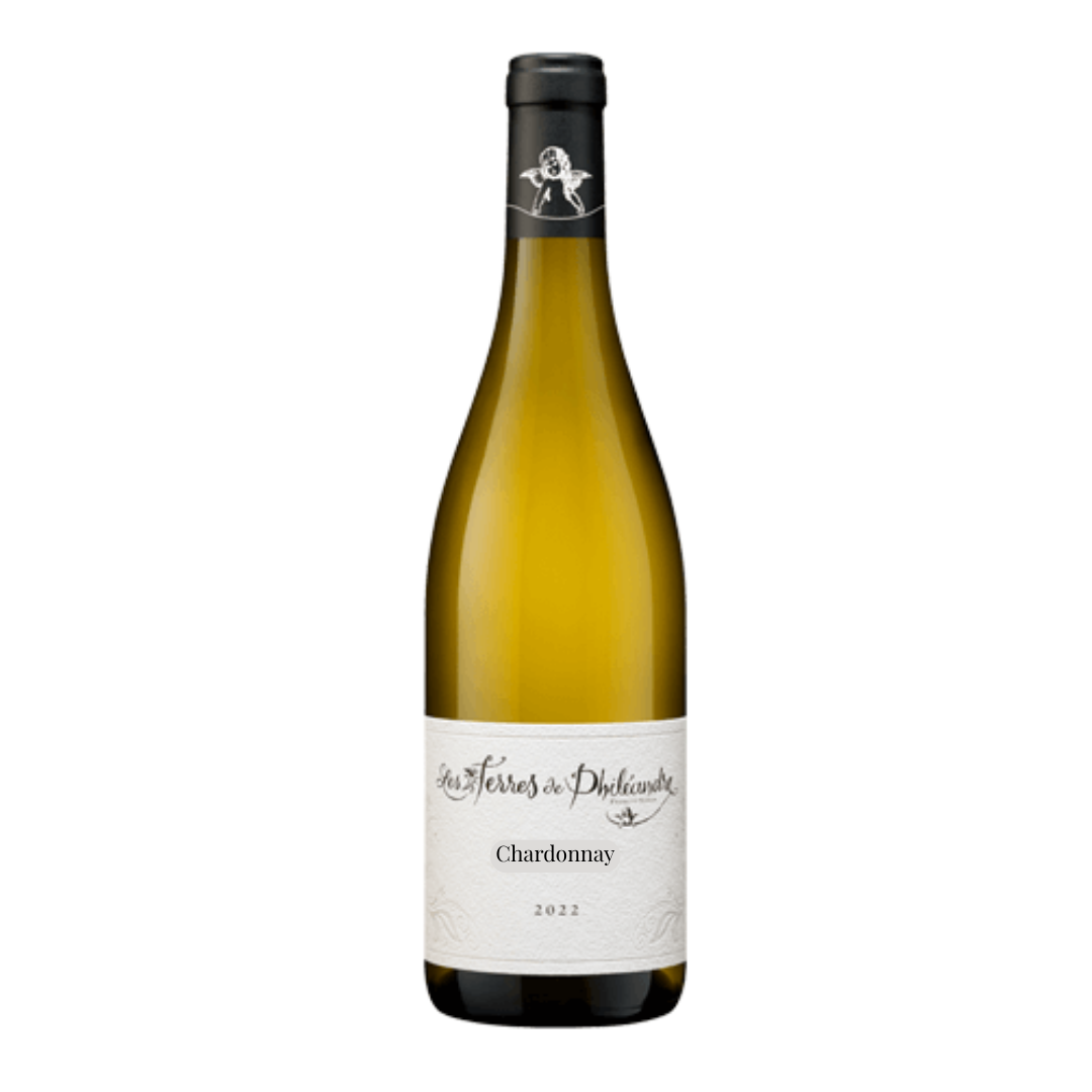 Les Terres de Philéandres - David Duband Vin de France Chardonnay Blanc