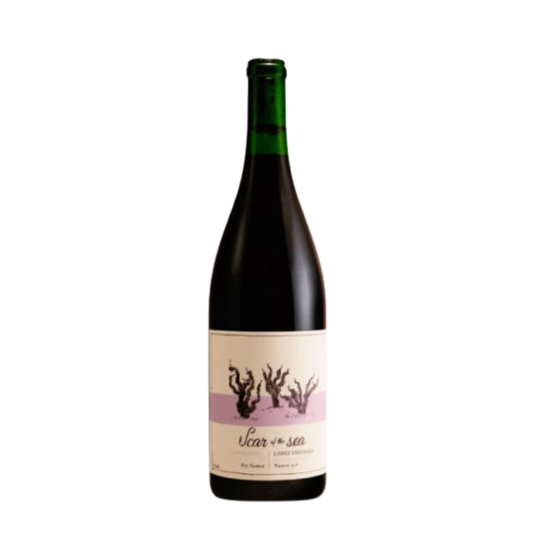 Scar of The Sea Cucamonga Valley Lopez Vineyard Old Vin Zinfandel Rouge