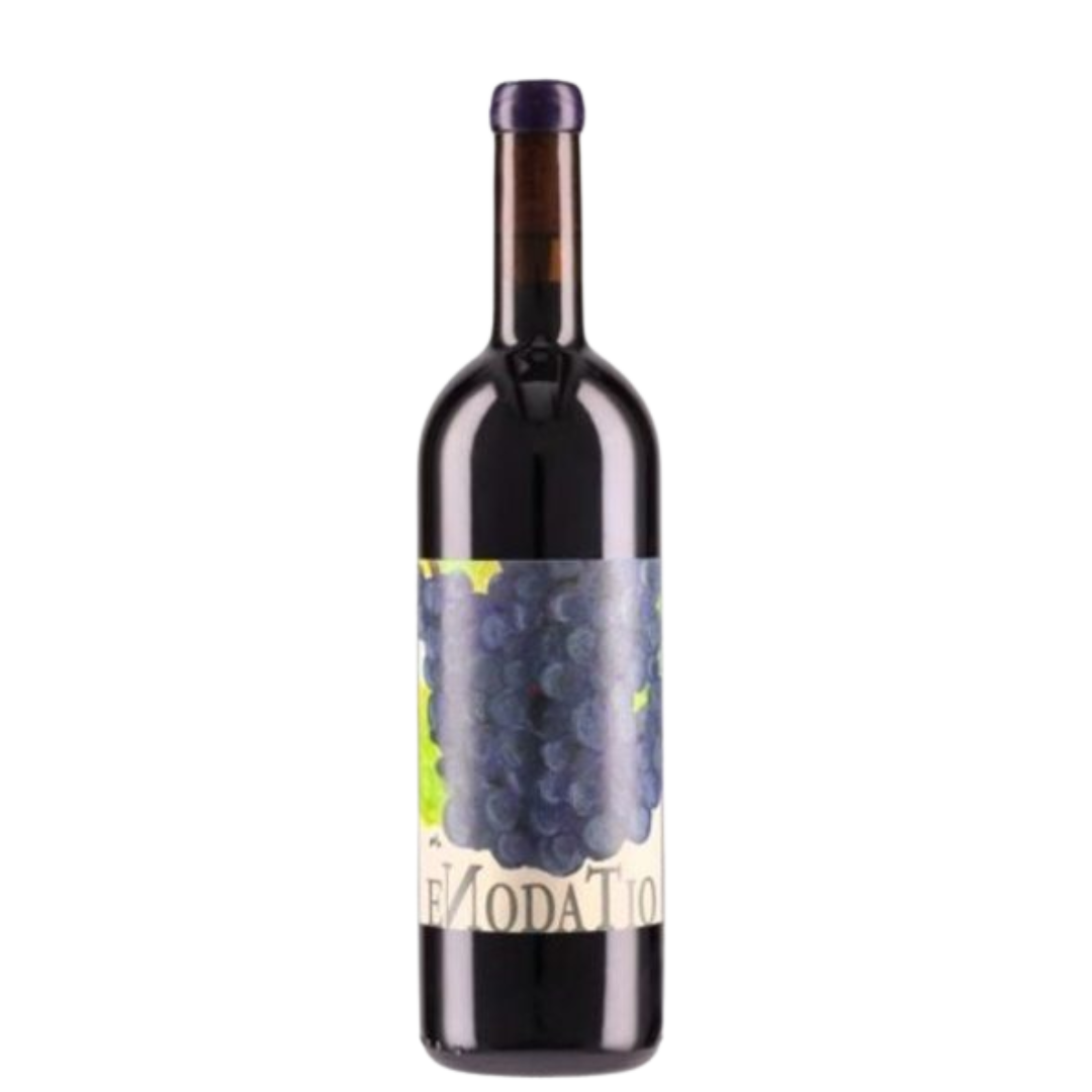Elio Sandri Langhe Merlot Enodatio Rouge