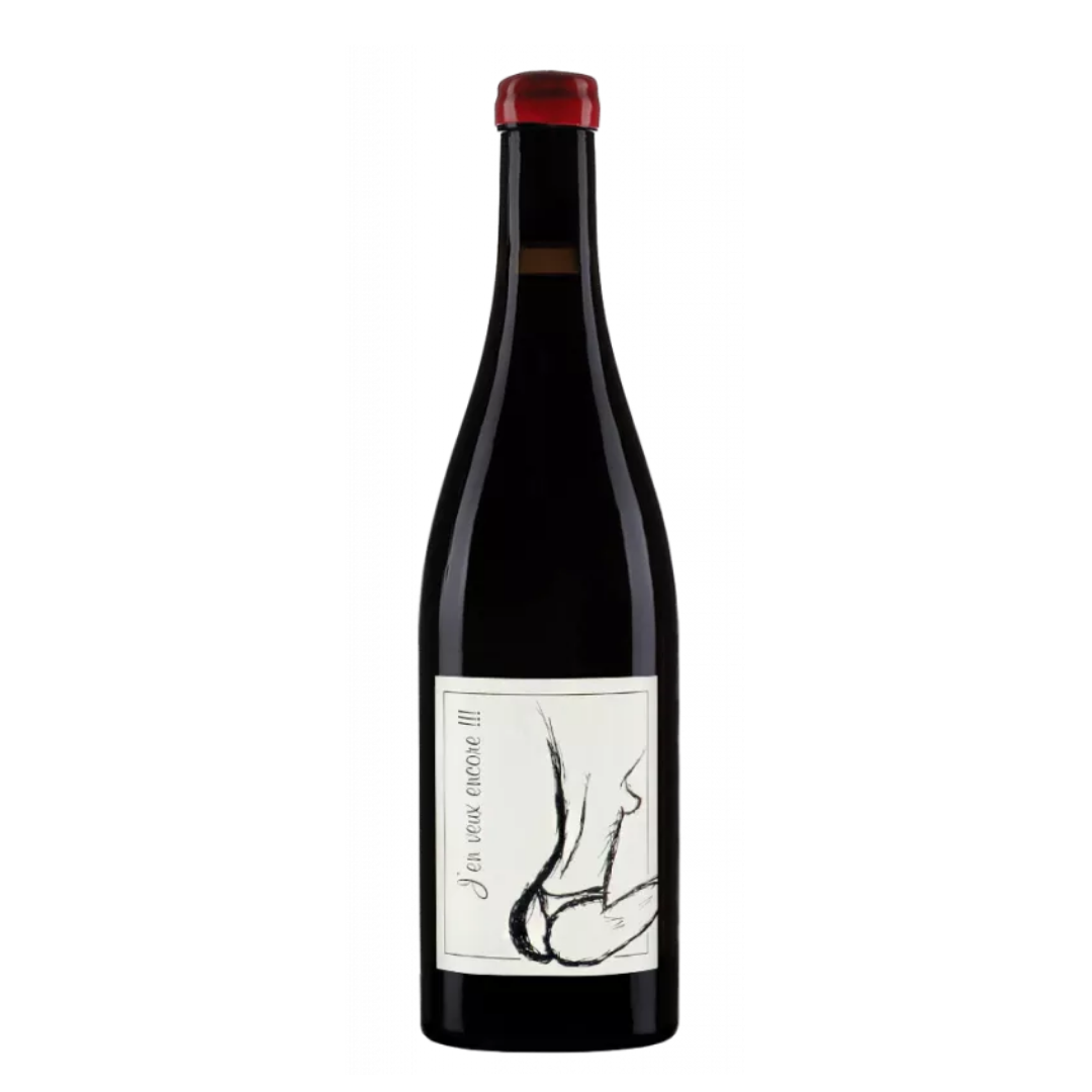 Anne & Jean-François Ganevat Vin de France j'en Veux Encore Rouge