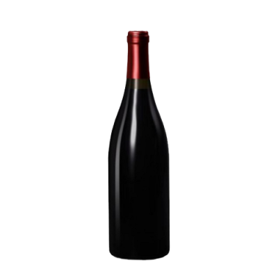 BAUDRY DOMAINE 2020 MAG CHINON